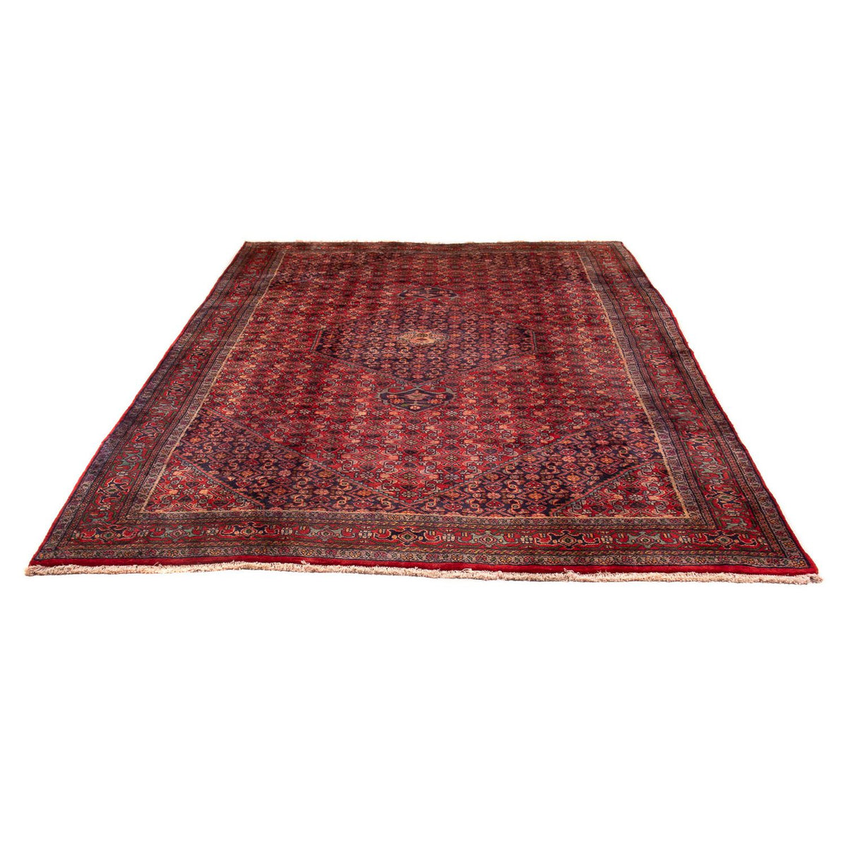 Perserteppich - Nomadic 290 x 203 cm