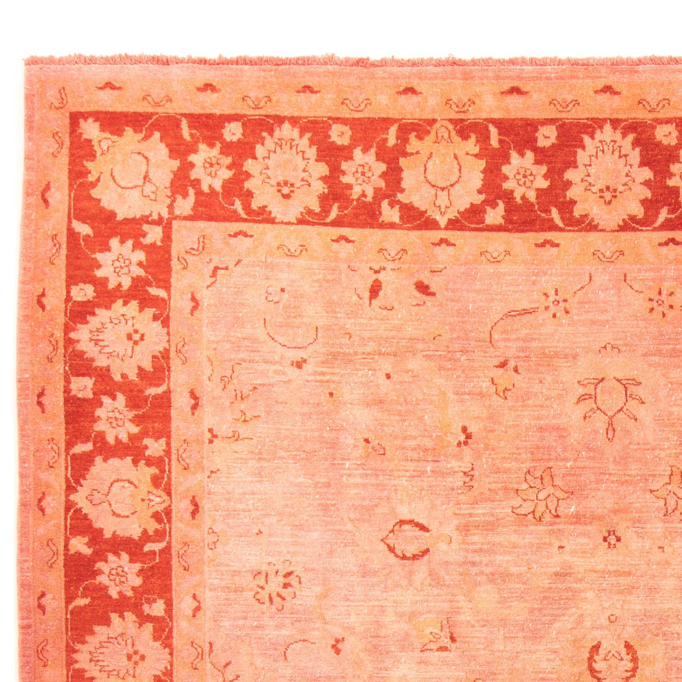 Ziegler Teppich 300x242cm - Orientteppich