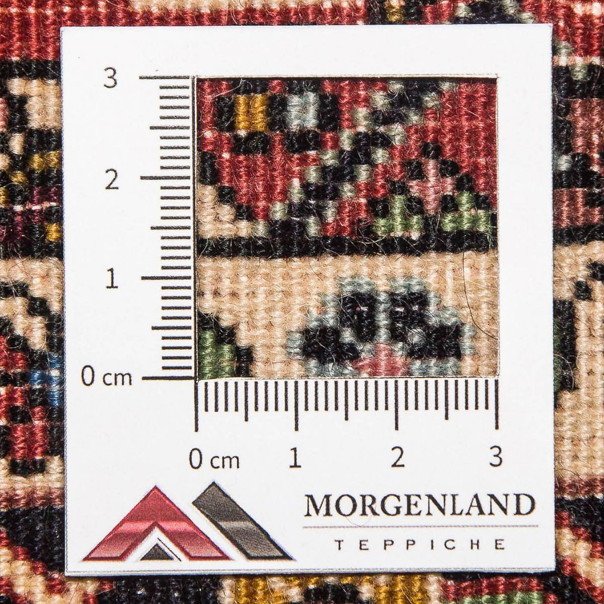 Perserteppich - Bidjar 301 x 87 cm