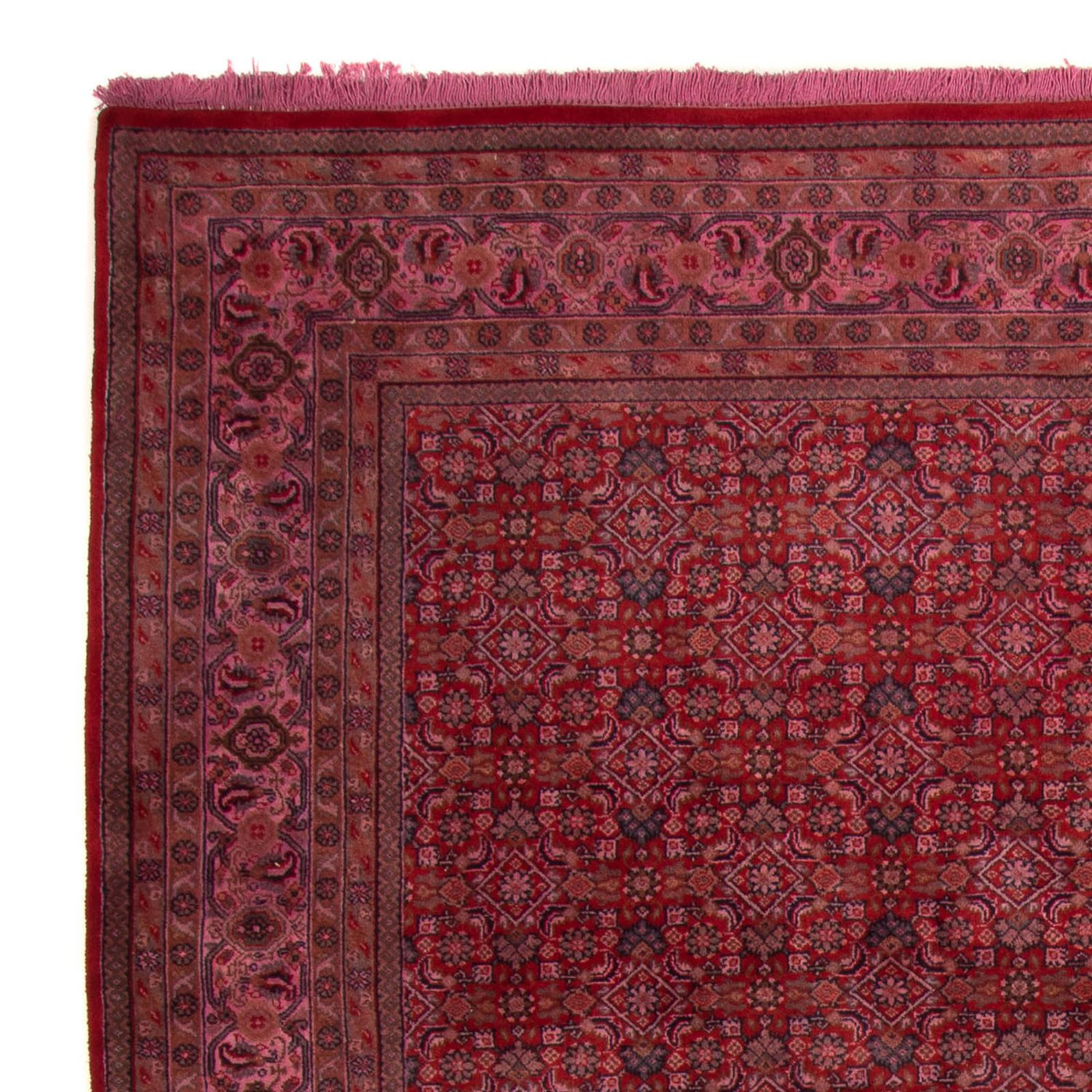 Indo Bidjar Teppich 300x200cm - Orientteppich
