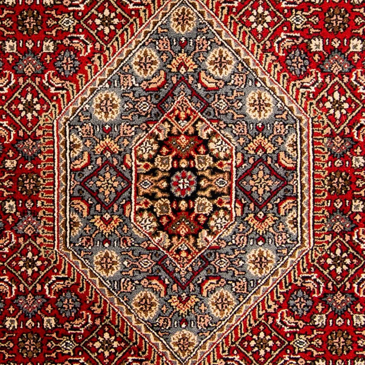 Orientteppich - Bidjar - Indus 305 x 199 cm