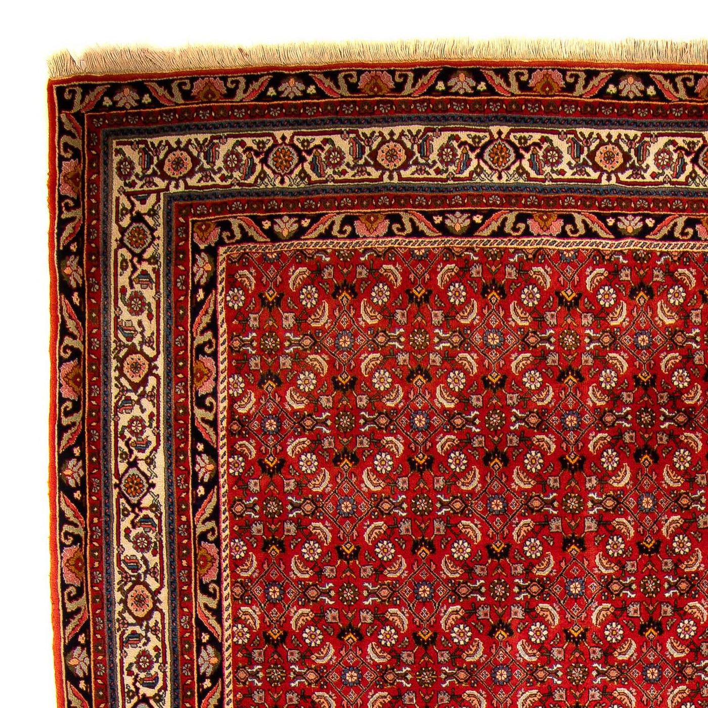 Bidjar Teppich 300x204cm - Perserteppich