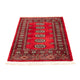 Pakistan Teppich 123 x 80 cm
