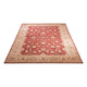 Ziegler Teppich 327 x 239 cm