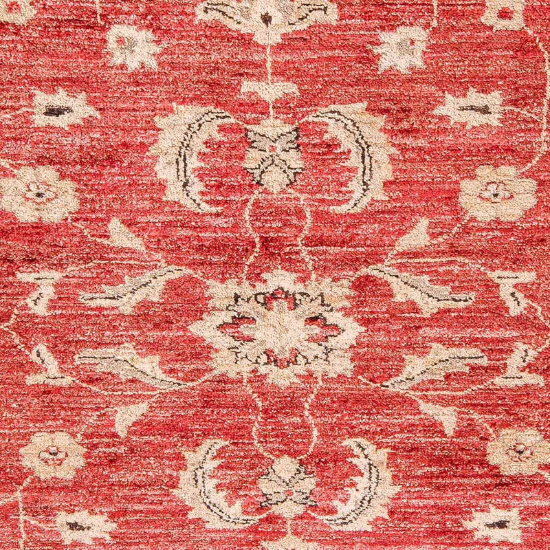 Ziegler Teppich 327 x 239 cm