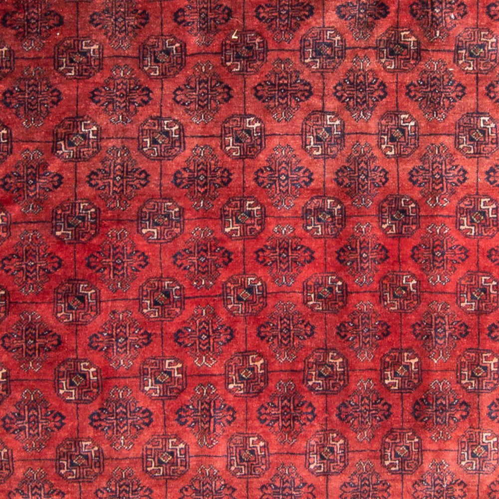 Turkaman Teppich - 305 x 202 cm - rot