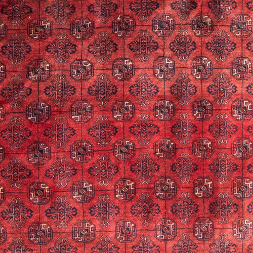 Turkaman Teppich - 305 x 202 cm - rot