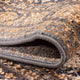 BK7-7151-200x100