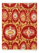 DP02-RUG1075516-300x240