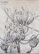 Designer Teppich - 300 x 240 cm - silber