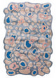 Designer Teppich sonderform  - 270 x 180 cm - blau