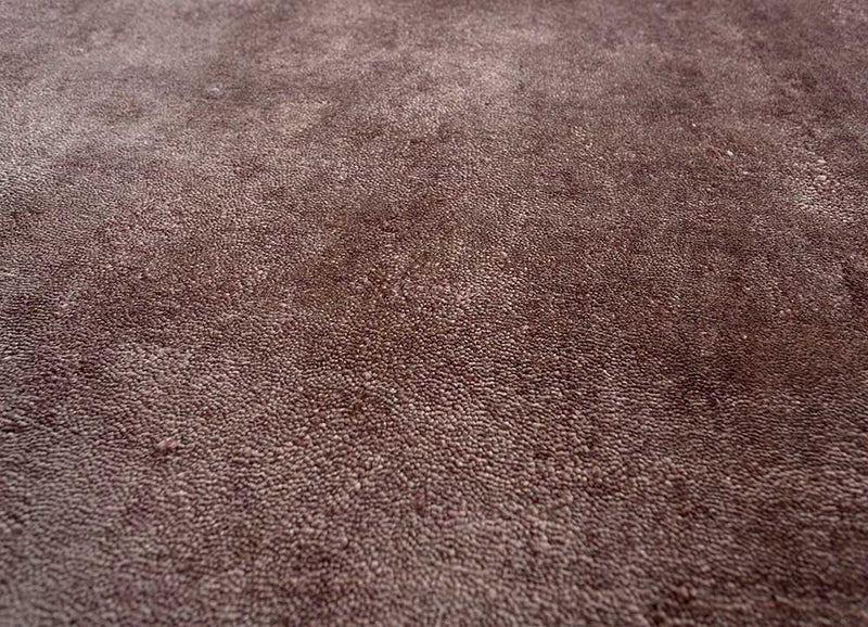 Wollteppich - 300 x 240 cm - beige