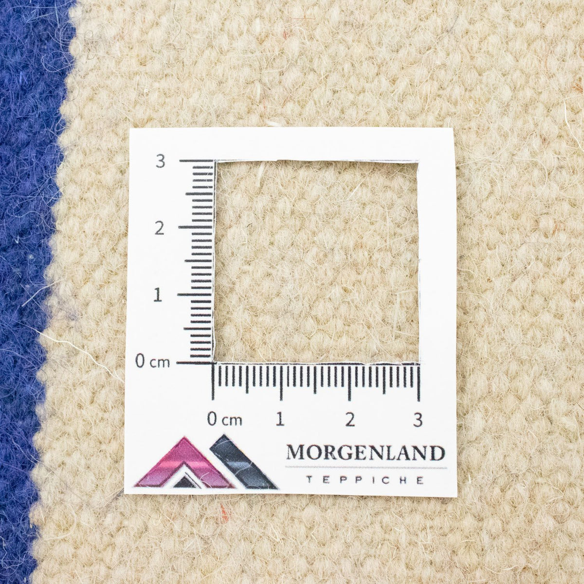 Kelim Teppich - Trendy 300 x 200 cm - beige