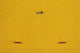 Kelim Teppich - Trendy 180 x 120 cm - gelb