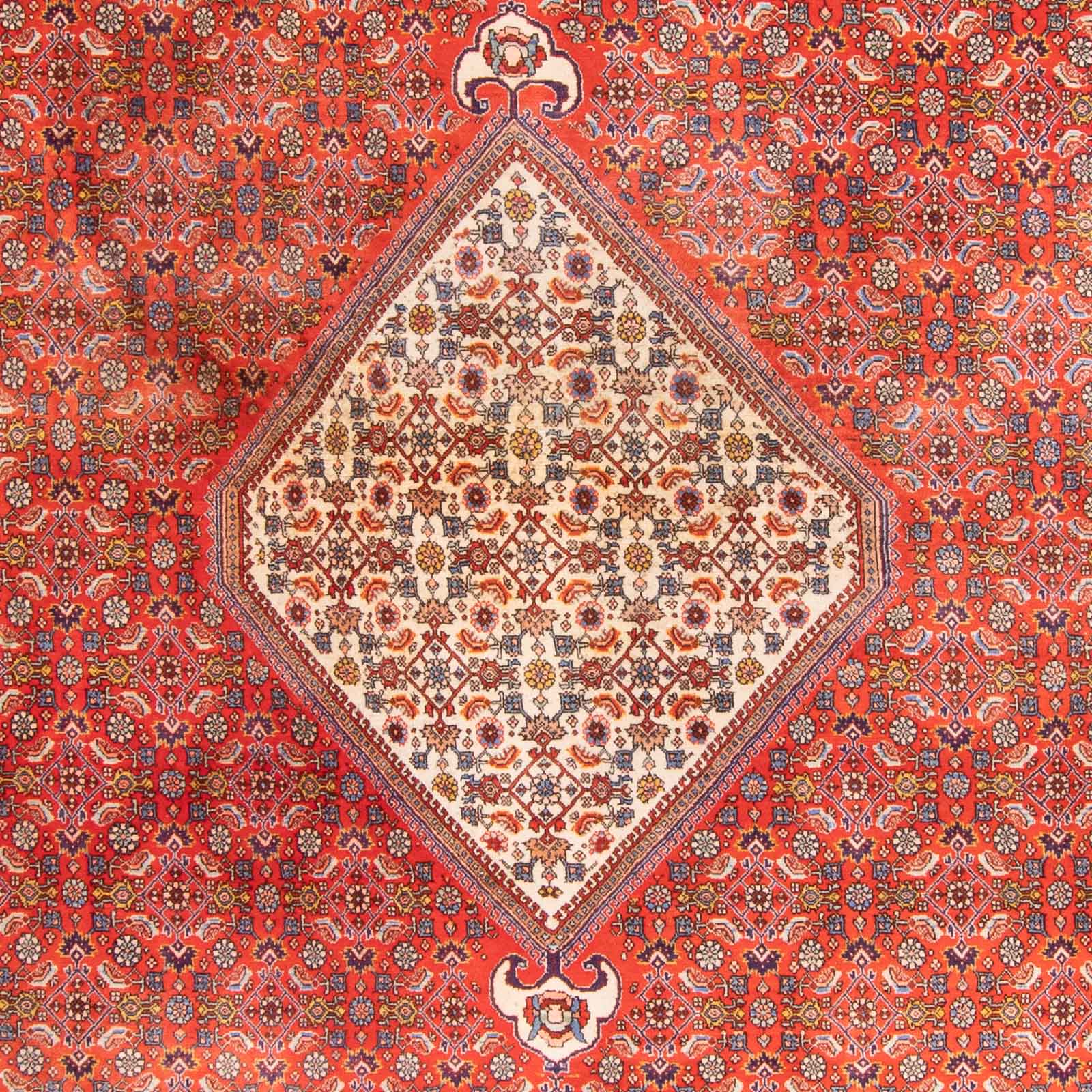 Perserteppich - Bidjar - 420 x 310 cm - terrakotta