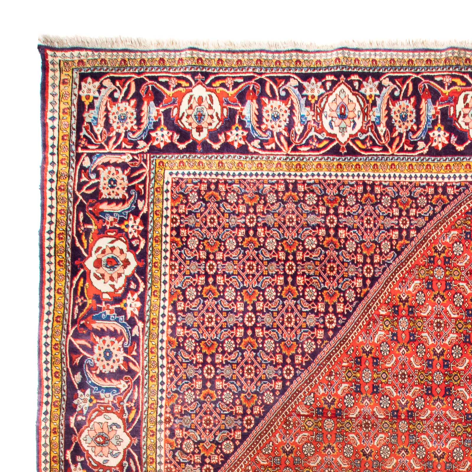 Perserteppich - Bidjar - 420 x 310 cm - terrakotta