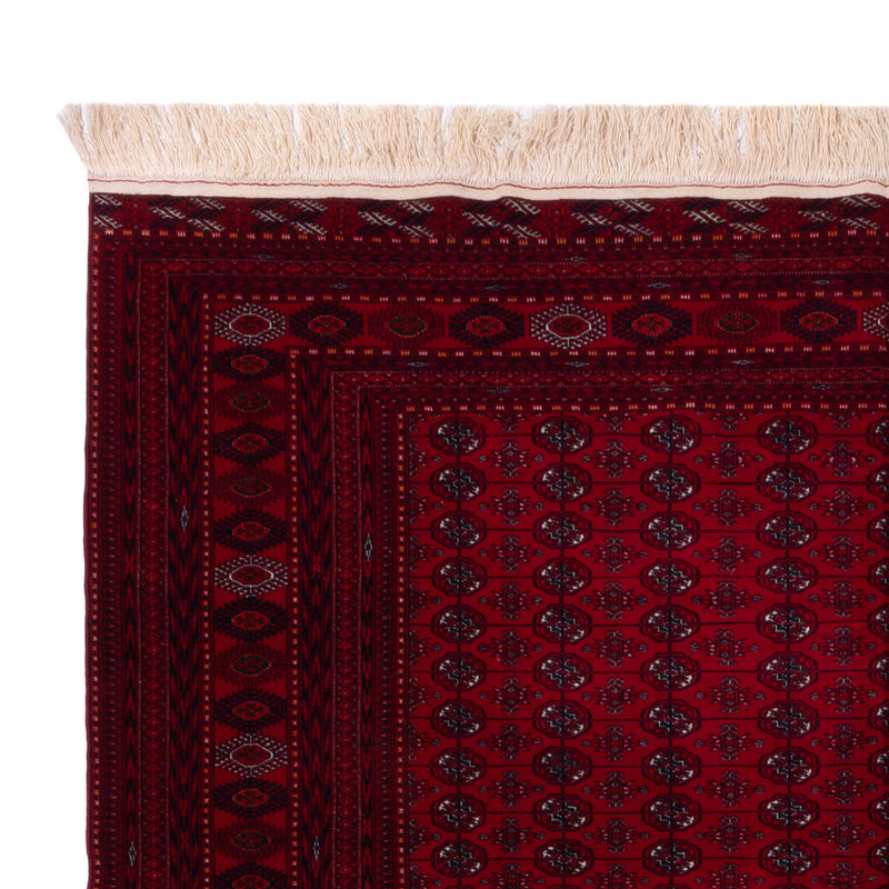 Afghan Teppich - Buchara - 390 x 296 cm - dunkelrot