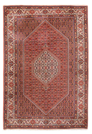 Perserteppich - Bidjar - 295 x 195 cm - rot