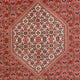 Perserteppich - Bidjar - 295 x 195 cm - rot
