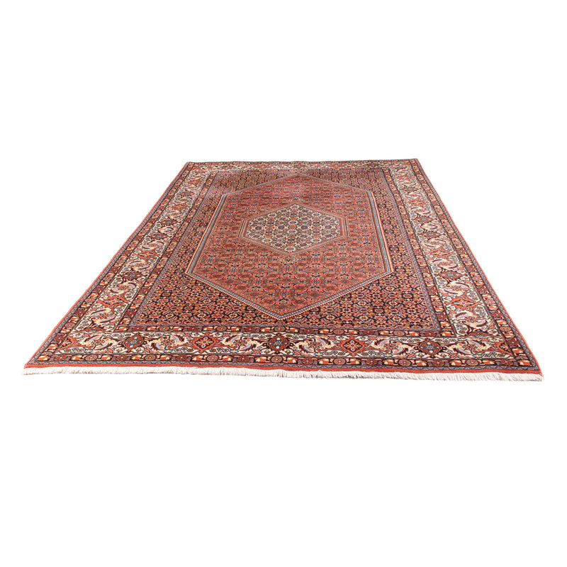 Perserteppich - Bidjar - 295 x 195 cm - rot