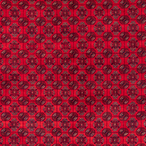 Afghan Teppich - Buchara - 290 x 196 cm - rot