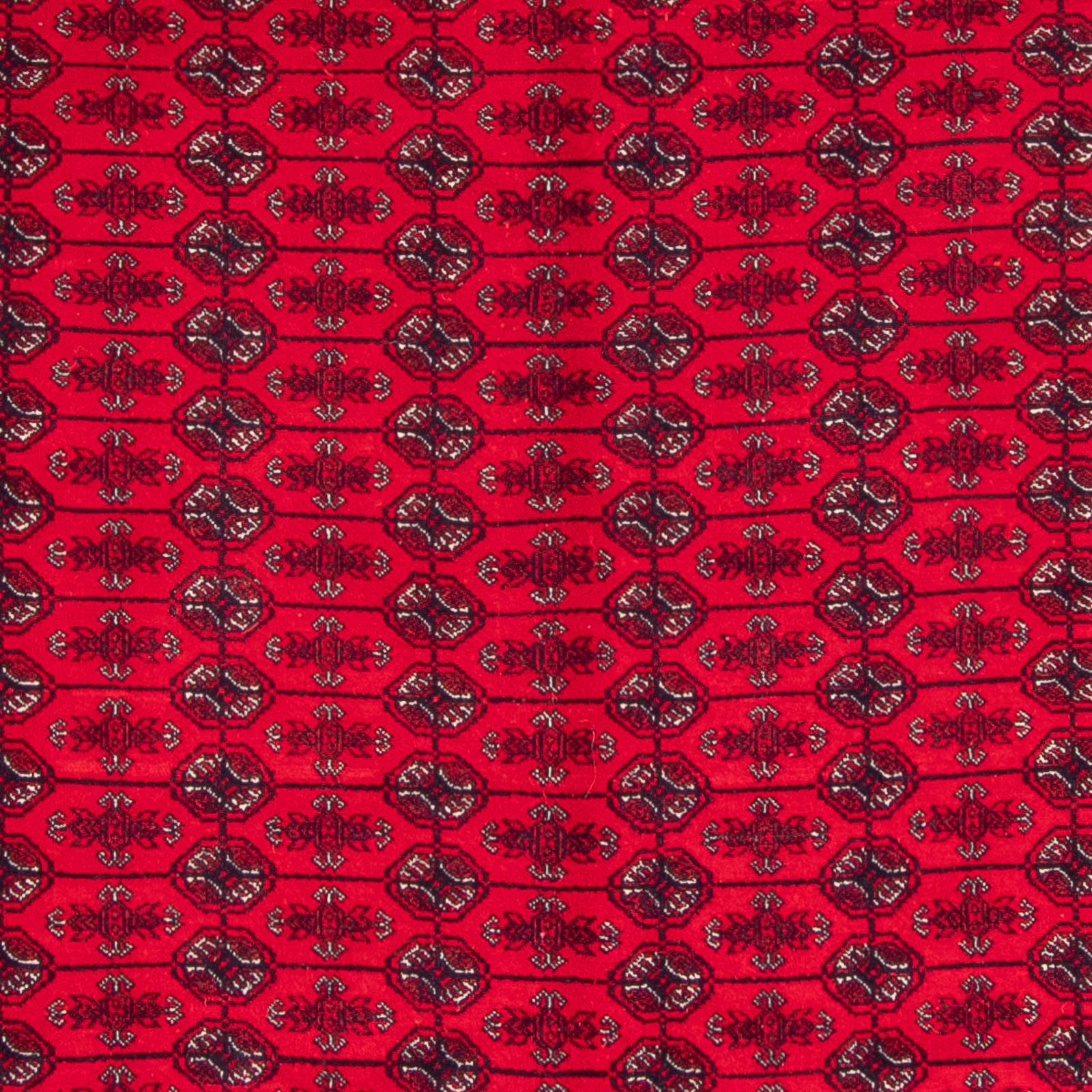 Afghan Teppich - Buchara - 292 x 200 cm - rot