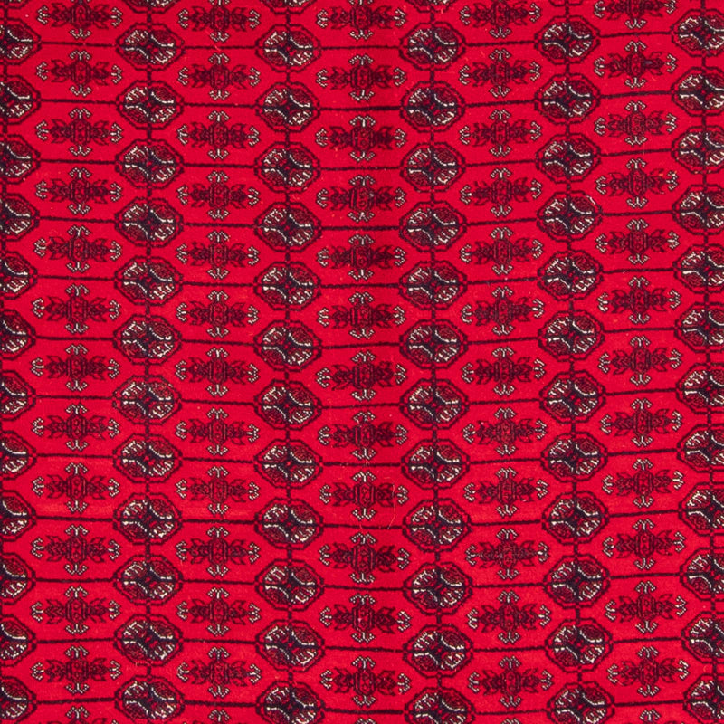Afghan Teppich - Buchara - 292 x 200 cm - rot