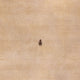 Gabbeh Teppich - Softy - 300 x 250 cm - beige