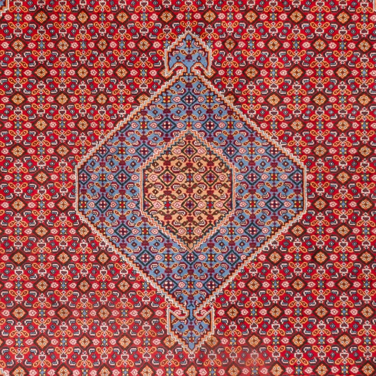 Perserteppich - Nomadic - 300 x 205 cm - rot