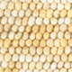 Wollteppich quadratisch  - 32 x 32 cm - hellbeige