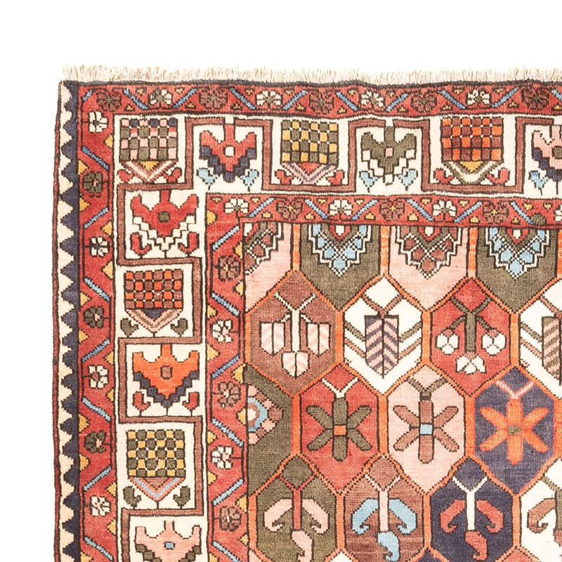 Perserteppich - Nomadic - 305 x 215 cm - mehrfarbig