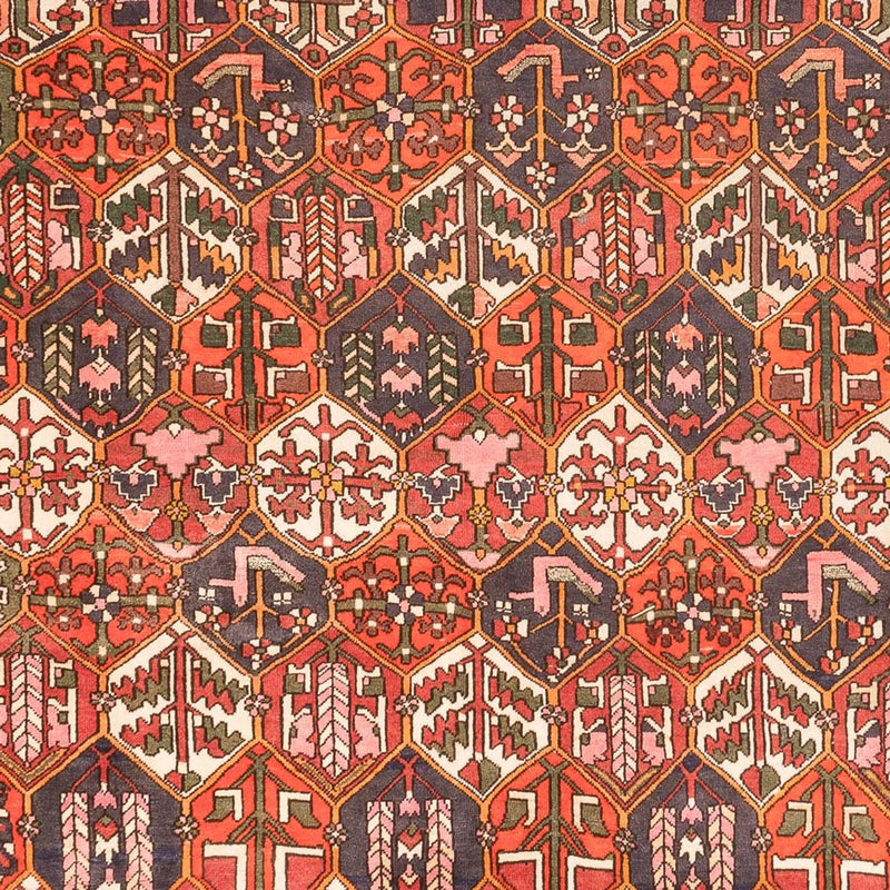 Perserteppich - Nomadic - 310 x 210 cm - terrakotta