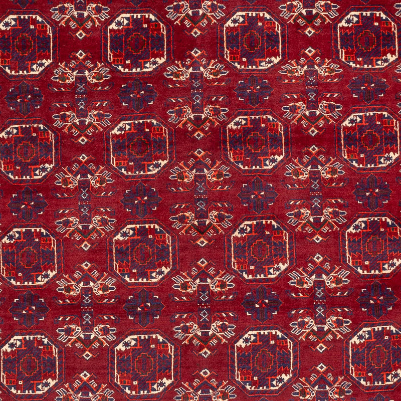 Afghan Teppich - Buchara - 283 x 198 cm - dunkelgrau