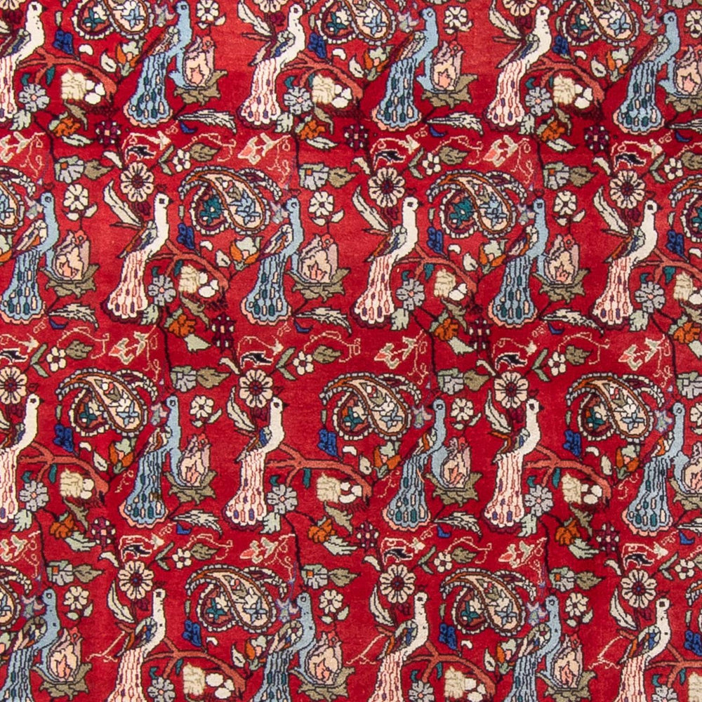 Perserteppich - Bidjar - 280 x 180 cm - rot