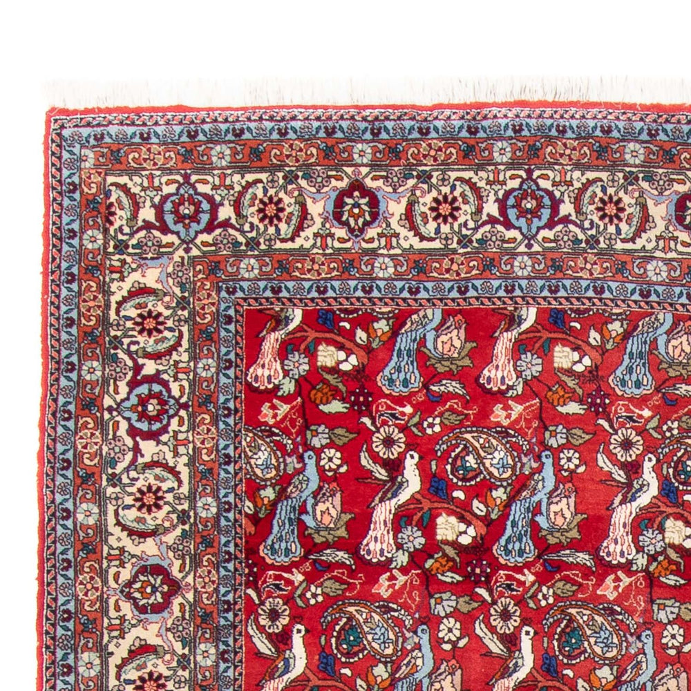 Perserteppich - Bidjar - 280 x 180 cm - rot
