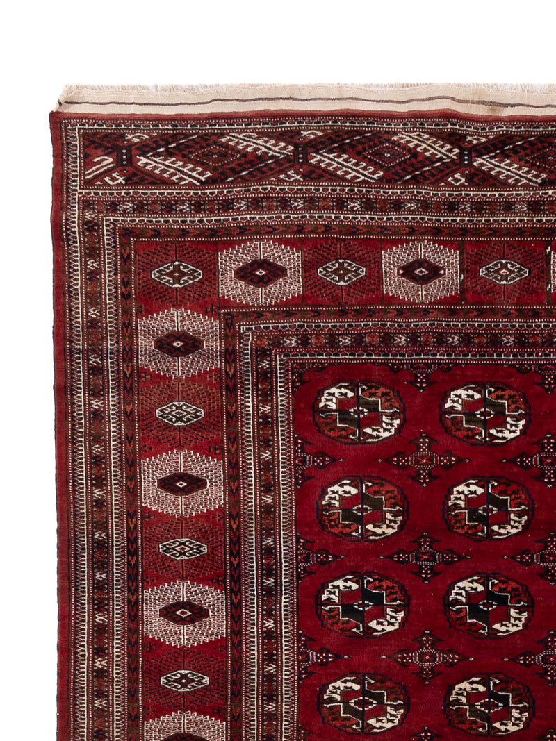 Buchara Teppich 350x250cm - Orientteppich