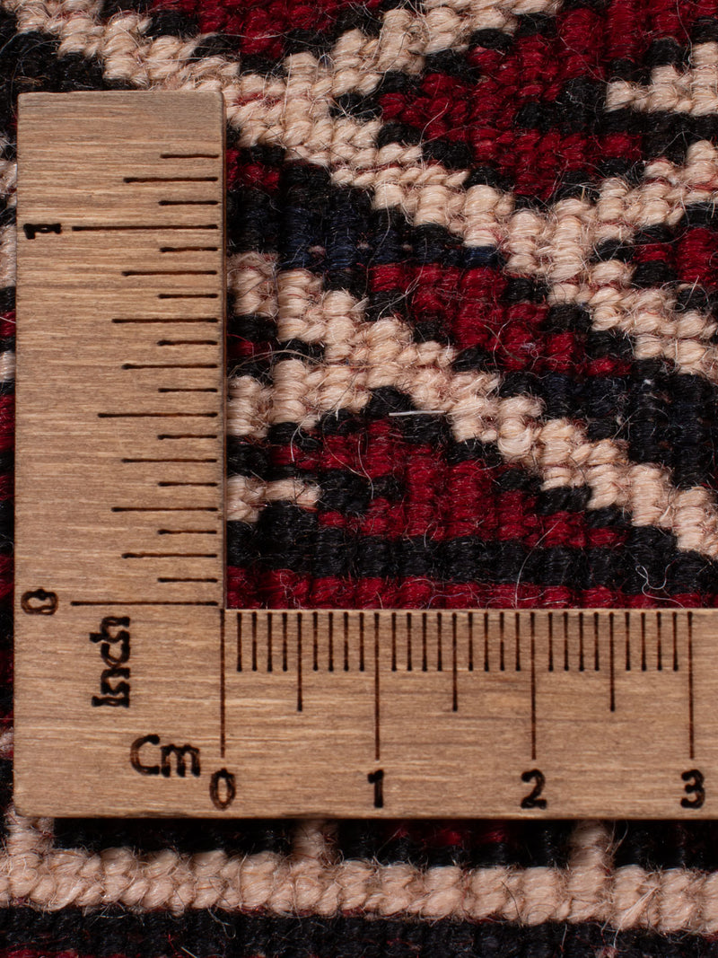Buchara Teppich 350x250cm - Orientteppich