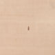 Gabbeh Teppich - Softy quadratisch  - 250 x 250 cm - beige
