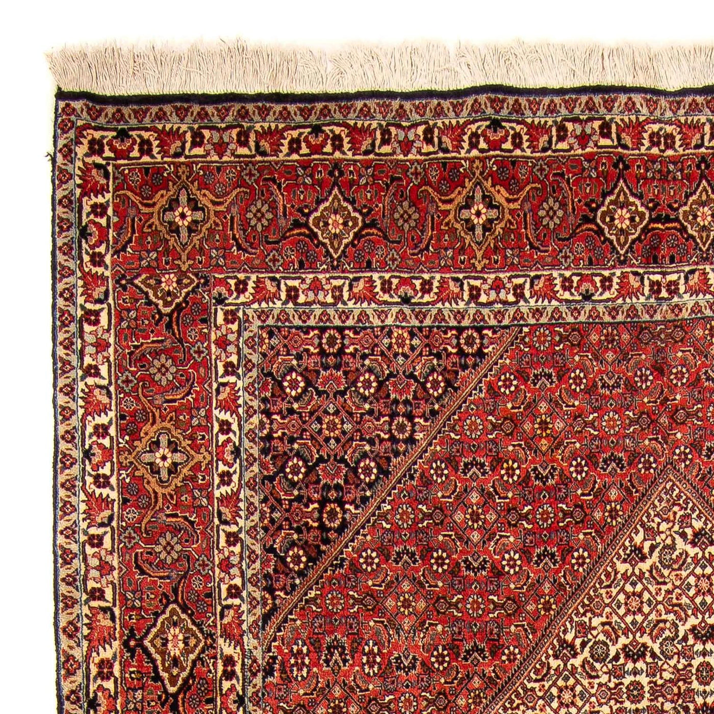 Bidjar Teppich 312x172cm - Perserteppich