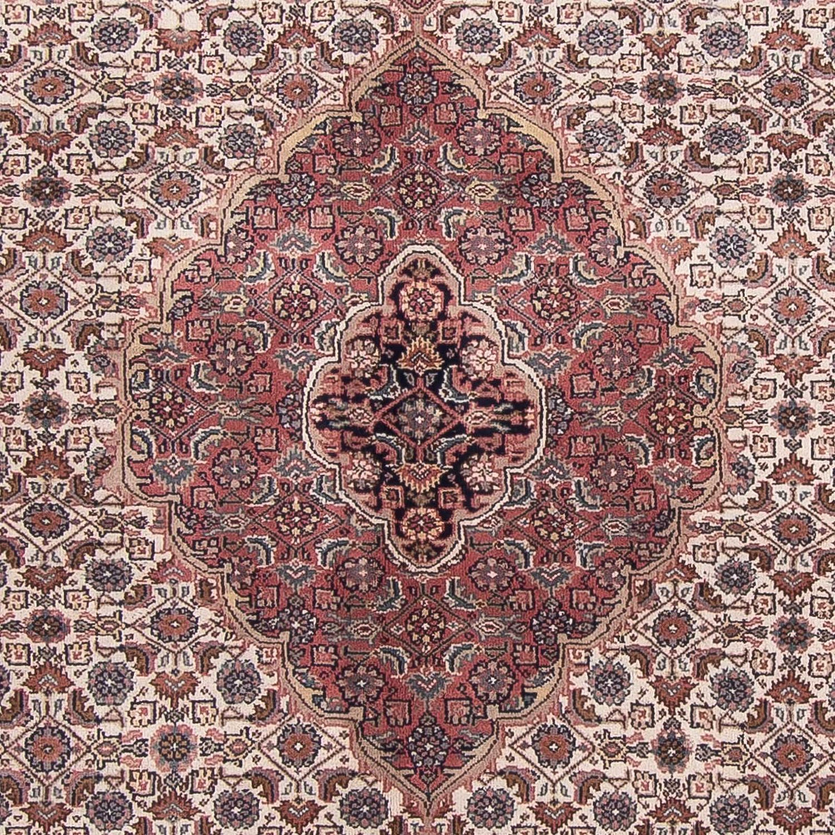 Orientteppich - Bidjar - Indus 303 x 245 cm