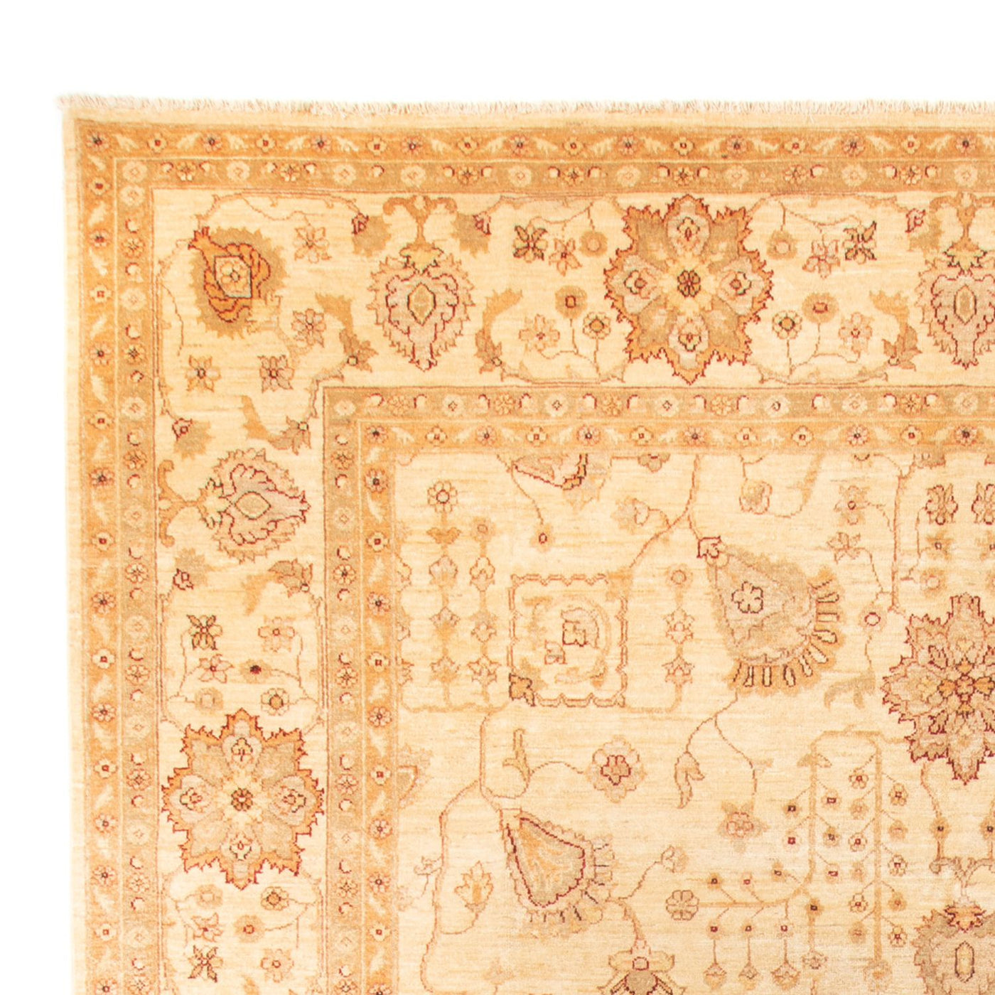 Ziegler Teppich 406 x 288 cm - beige