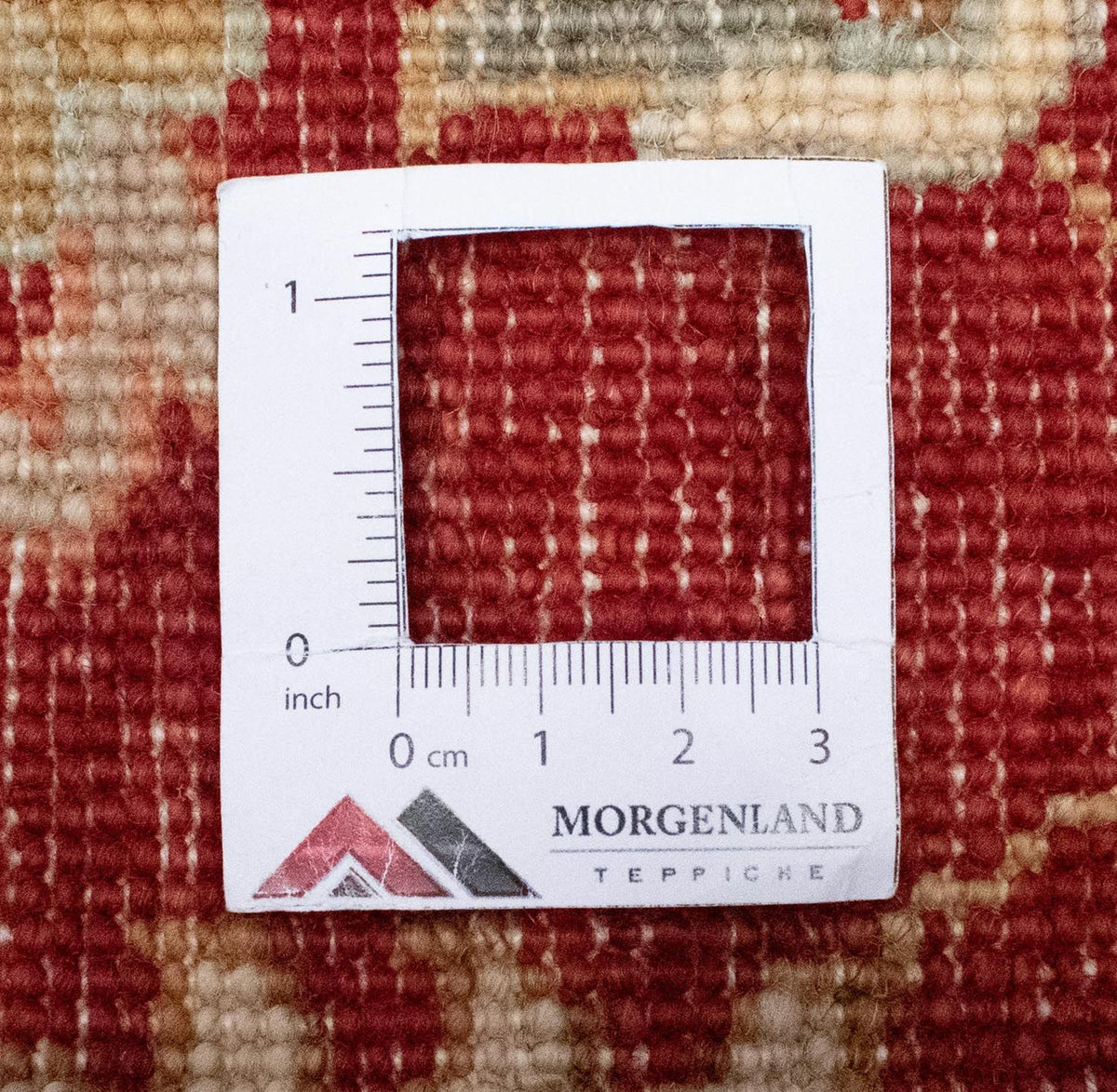 Ziegler Teppich 391 x 302 cm - beige