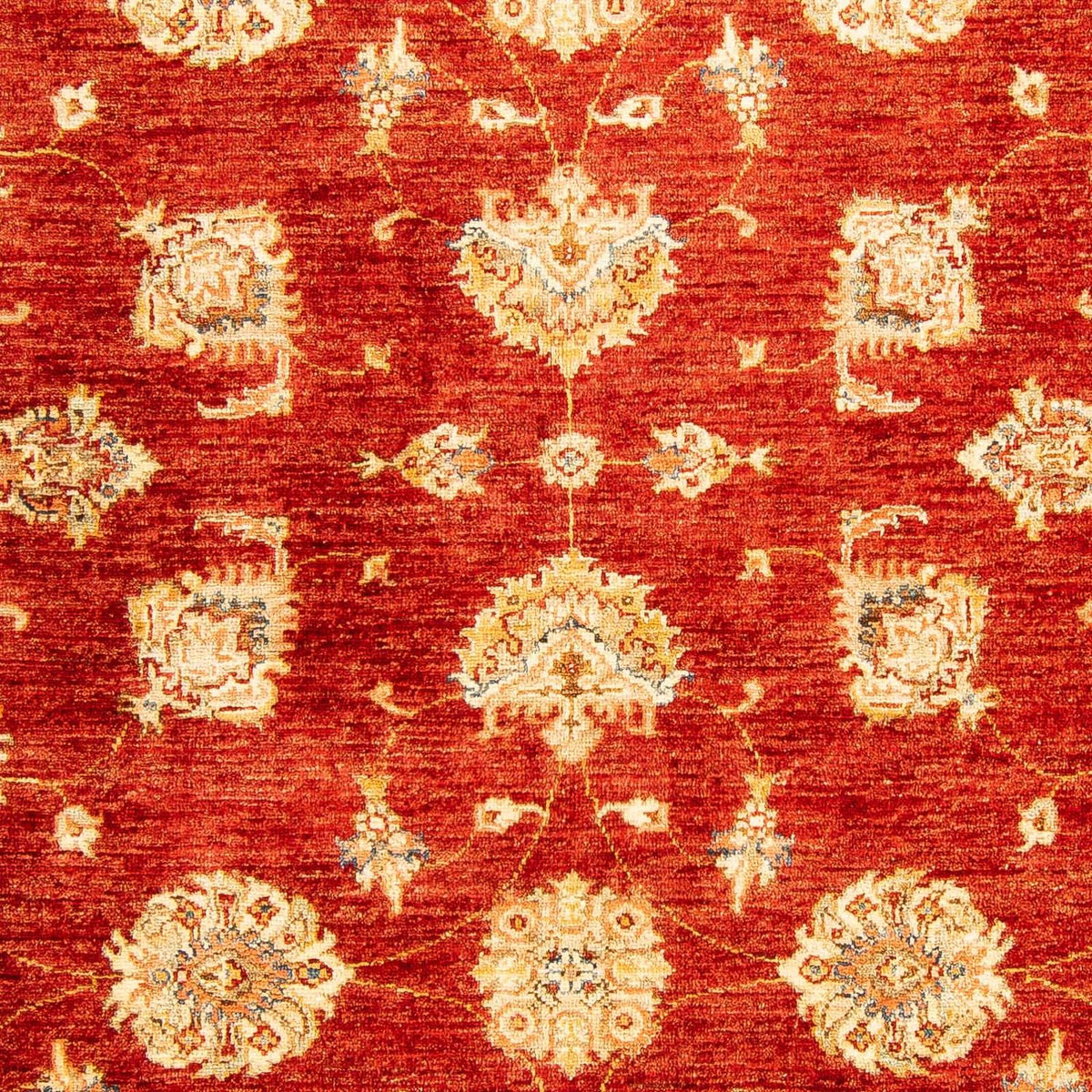 Ziegler Teppich 207 x 152 cm