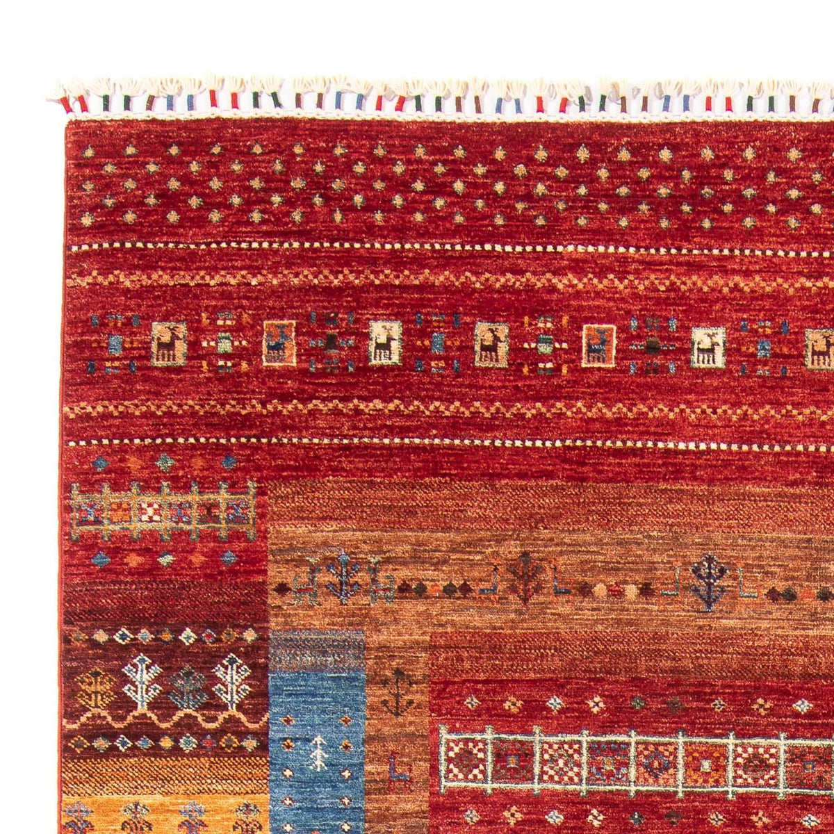 Ziegler Teppich - Ariana 264 x 178 cm