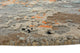 Designer Teppich rund  - 243 x 241 cm - mehrfarbig