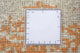 Designer Teppich - 242 x 240 cm - mehrfarbig