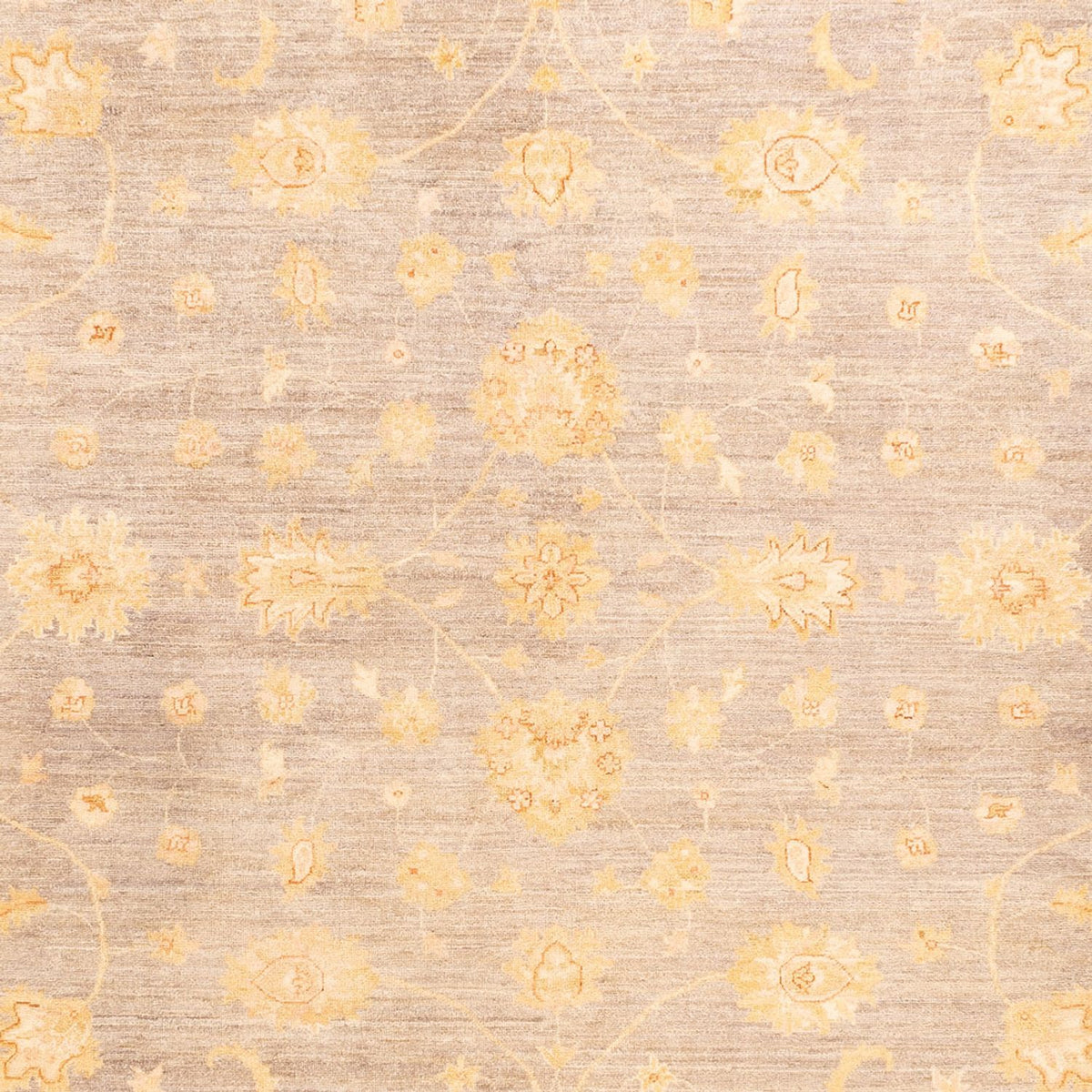 Ziegler Teppich - 354 x 260 cm - beige