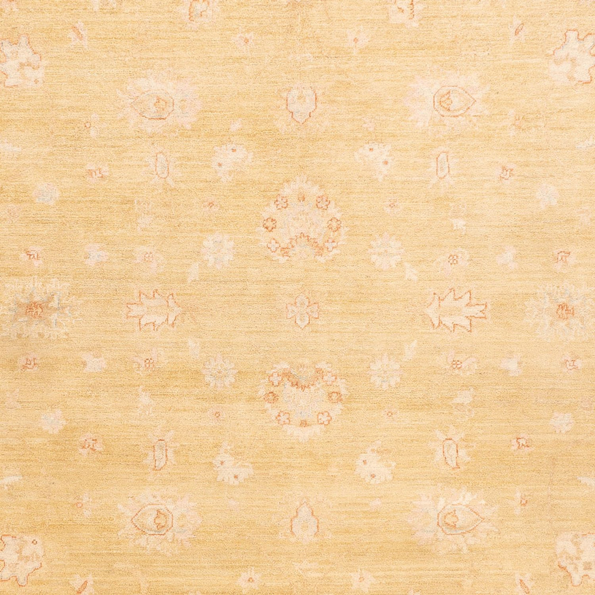Ziegler Teppich - 350 x 255 cm - beige