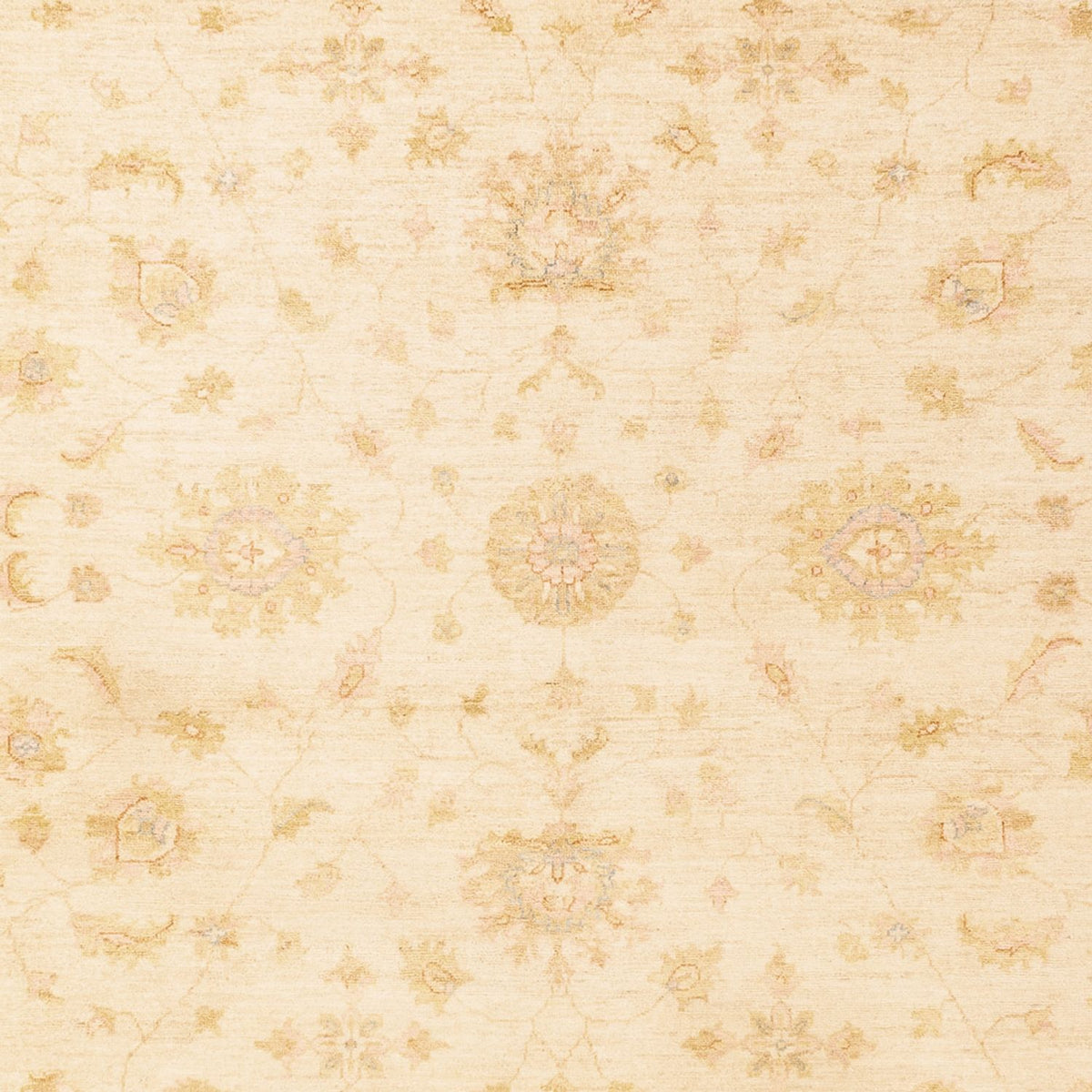 Ziegler Teppich - 344 x 254 cm - beige