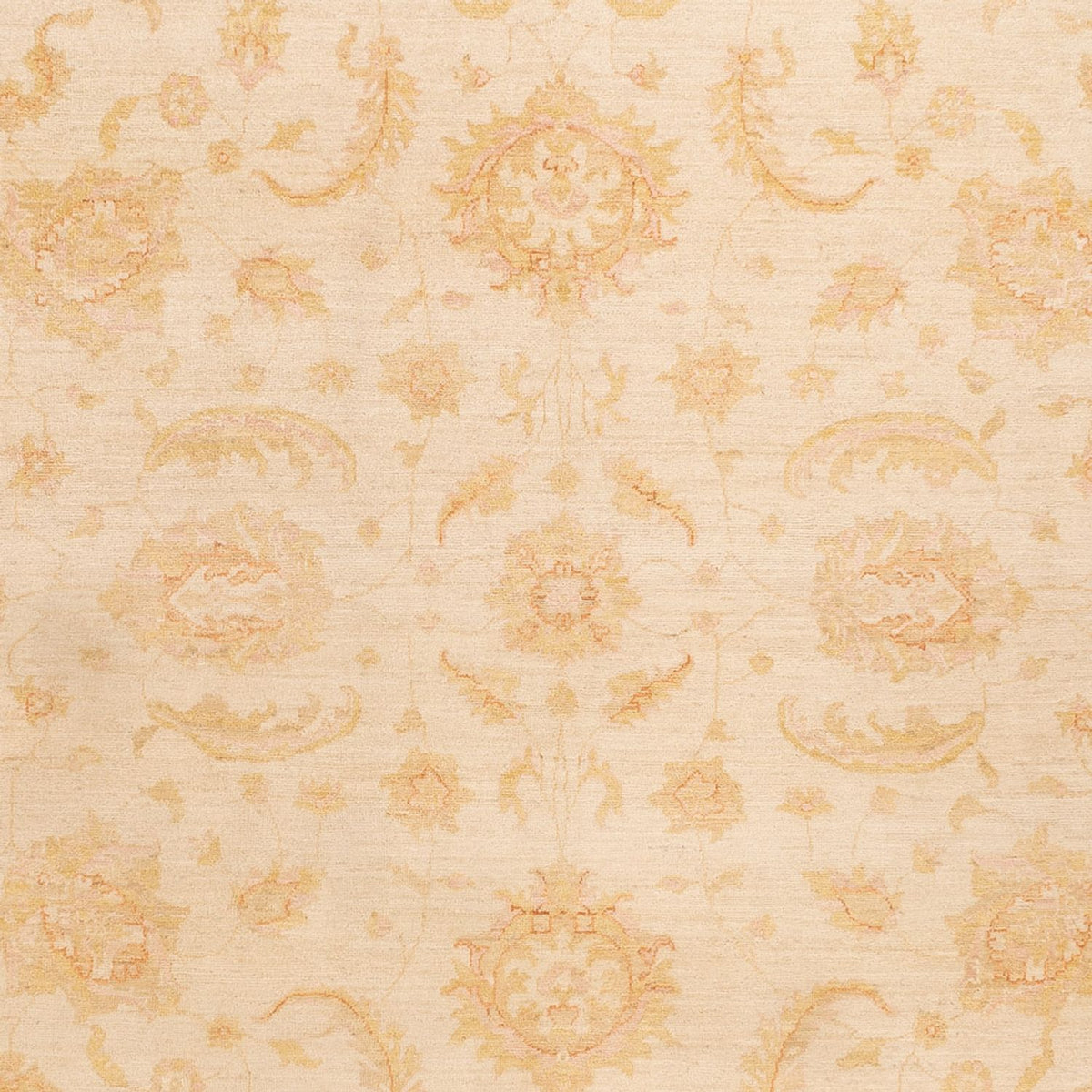 Ziegler Teppich - 342 x 256 cm - beige